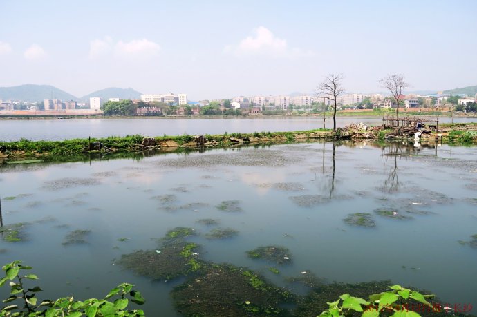 長沙后湖現(xiàn)狀 長沙后湖現(xiàn)狀